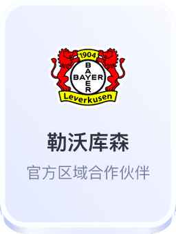 德甲勒沃库森官方区域合作伙伴